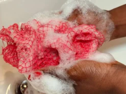 African Net Sponge Sapo Green