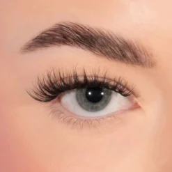 Bold Definition Pre Glued Lashes