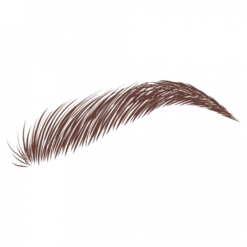 Dybrow Dark Brown