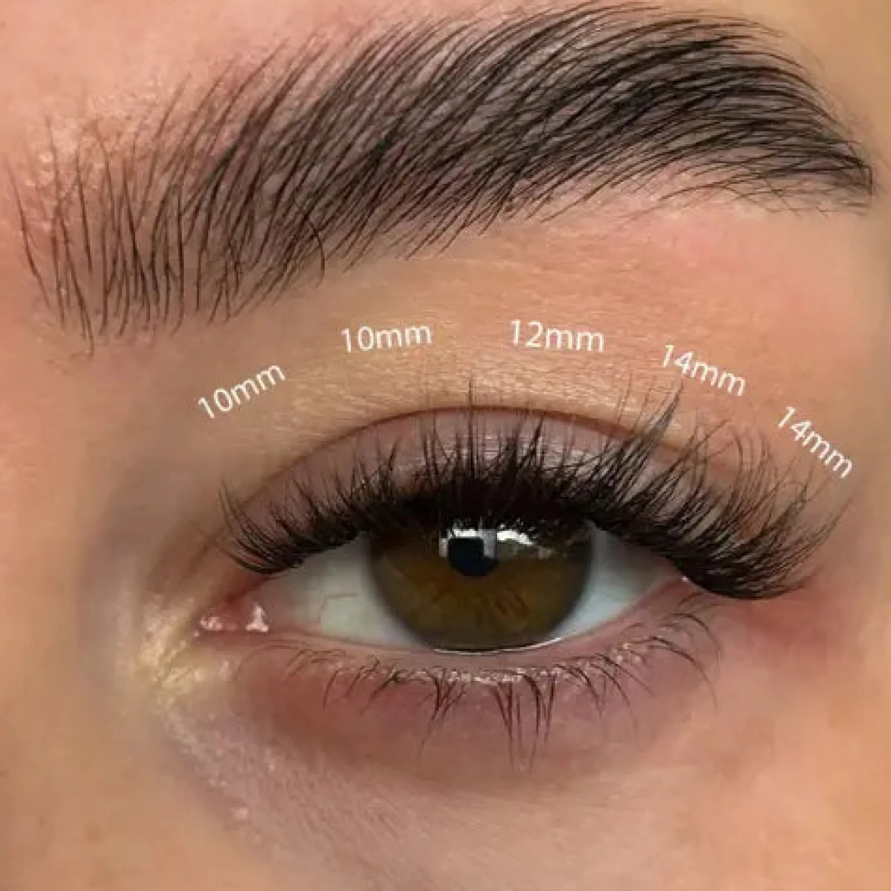 Fluffy Russian DIY Cluster Lashes