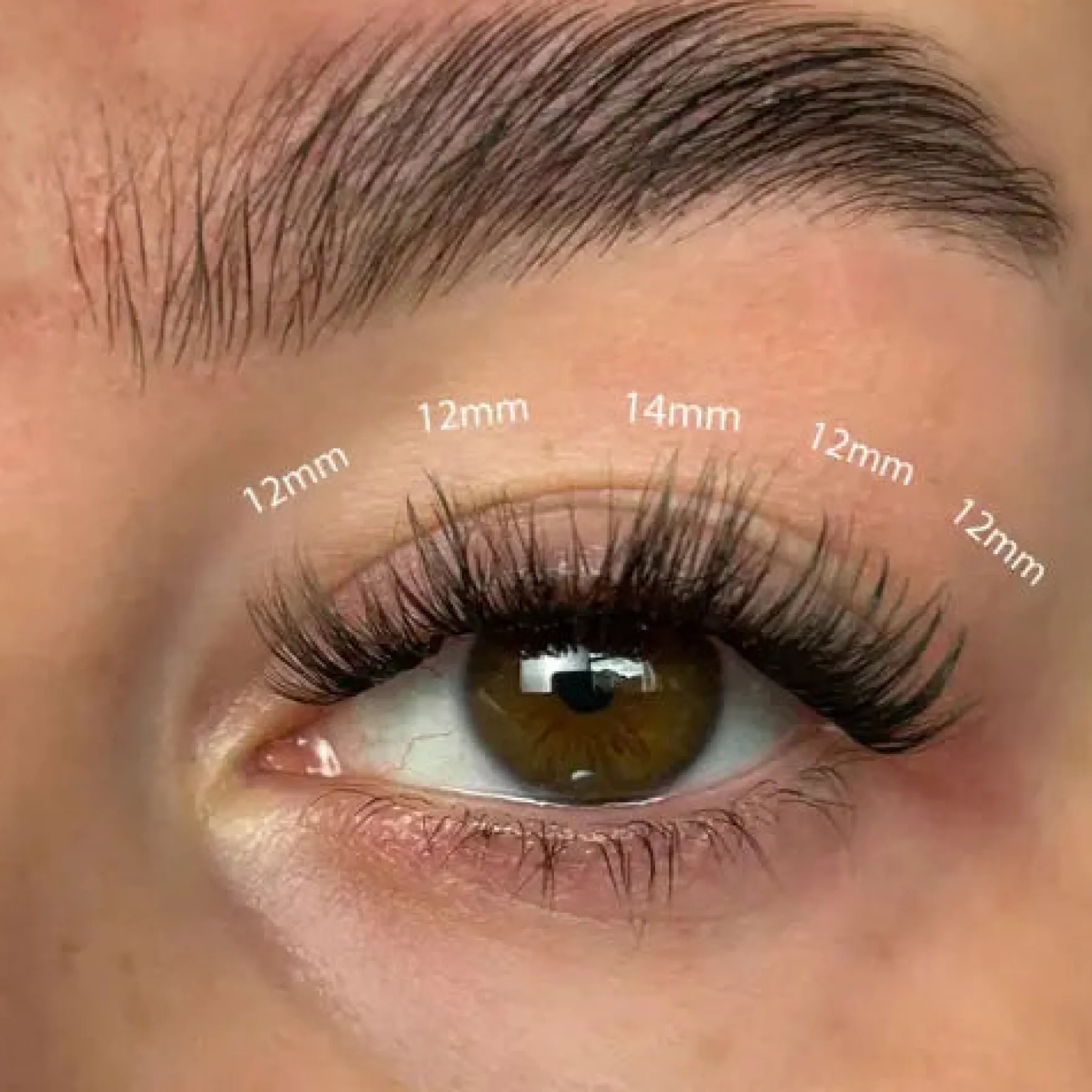 Fluffy Russian DIY Cluster Lashes