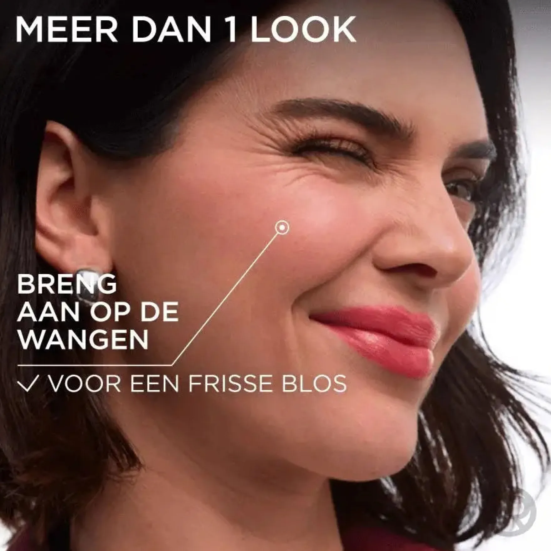 Hyaluron Tint Lipstain 490 Berry Jolie
