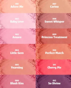 Love Blur Blush 009 Princess Treatment