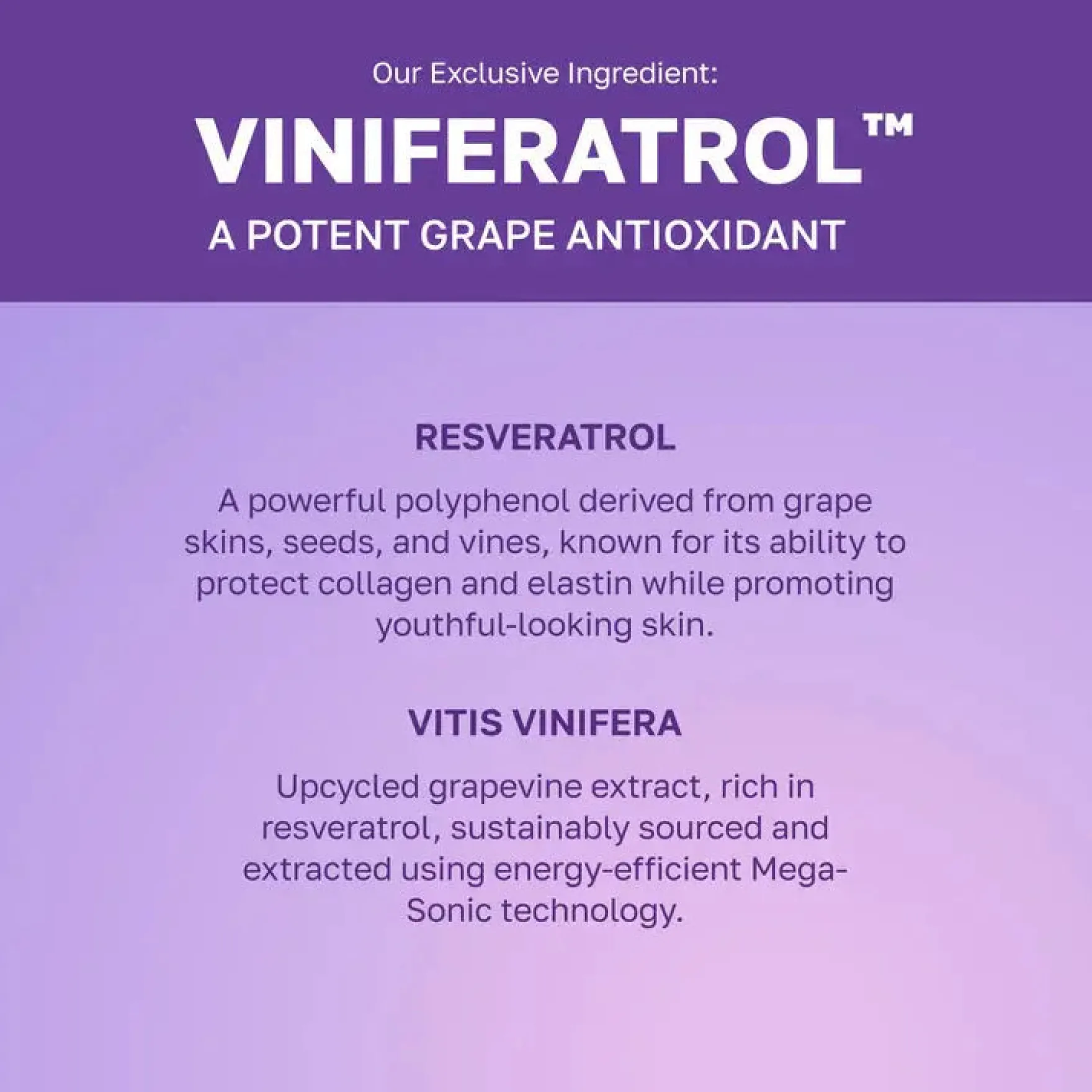 Vinoberry Enriched Bakuchiol Nourishing Cream